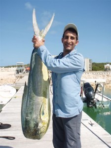 almazloom's profile picture. 