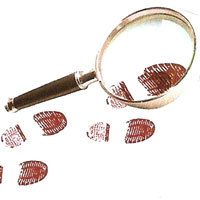 sandrinioneagu's profile picture. 