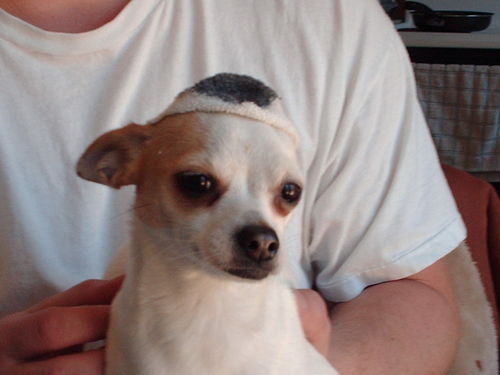 tiaga1998's profile picture. Work, art, books, and learning are my jam.