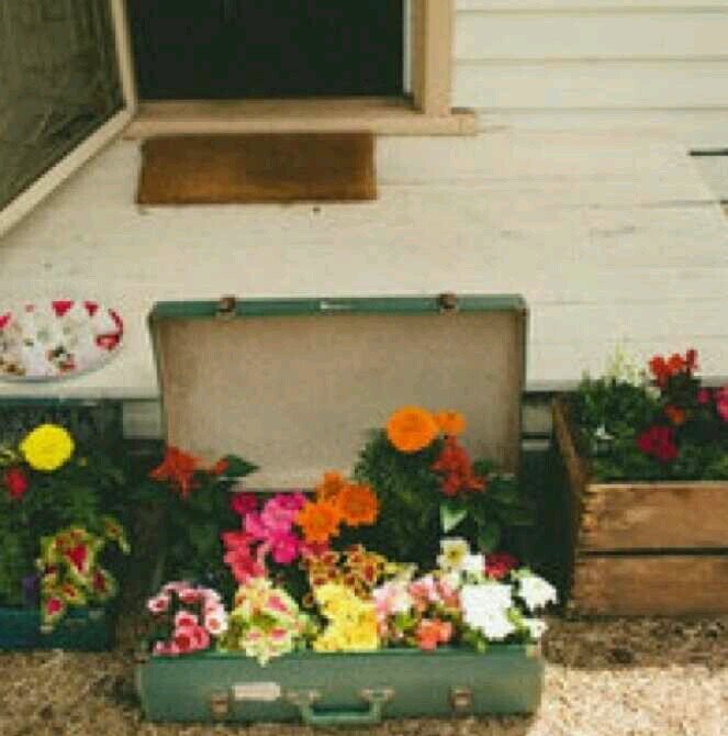 ```♡♥♡```