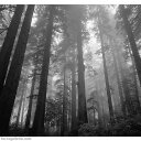 Clark Schultz - @ClarkSchultzSTL - Twitter