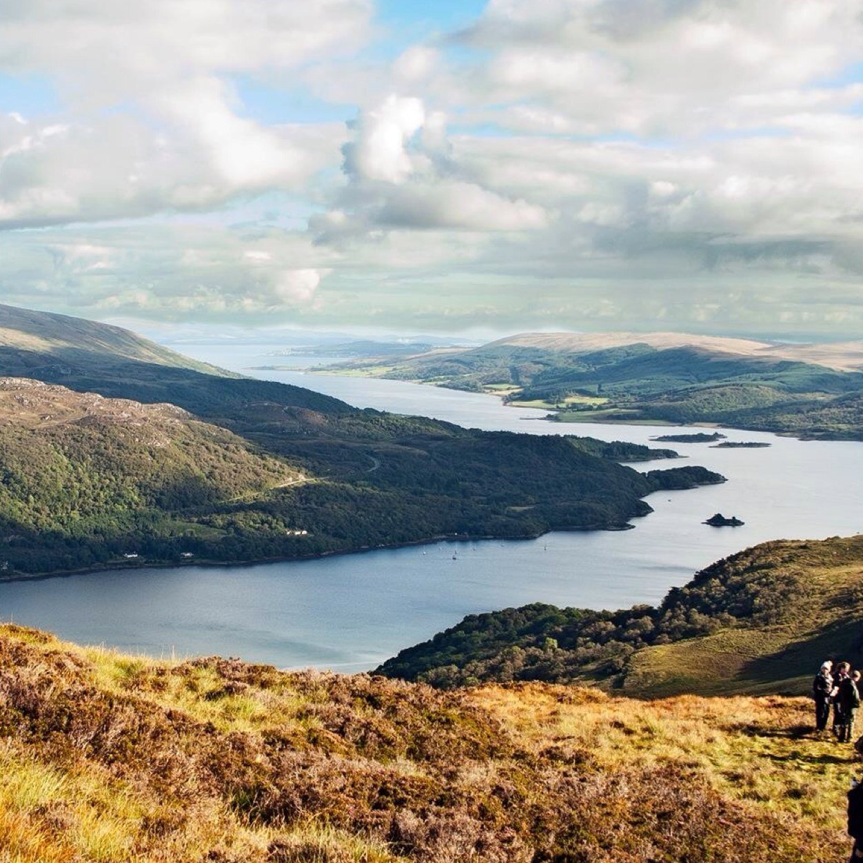 MaryStephenson's profile picture. 