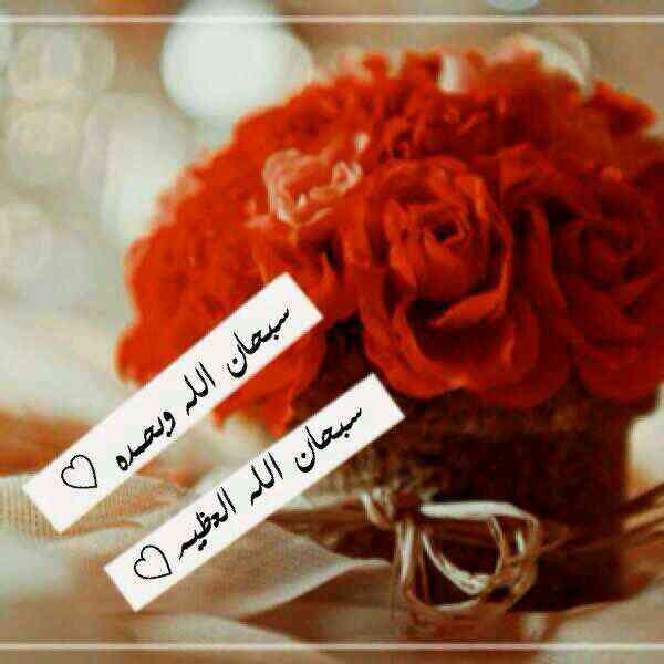 بًحًمًدٍکْ ربًيَ تٌطِمًئنِ نِفُسِيَ ♡♪
