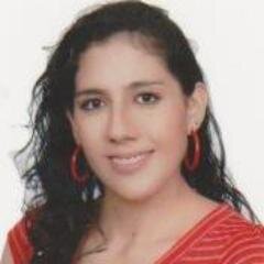 Negocio por Internet