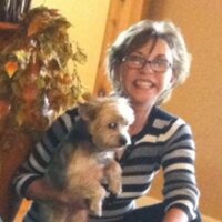 Sharon Sample (@samplesharon) 's Twitter Profile