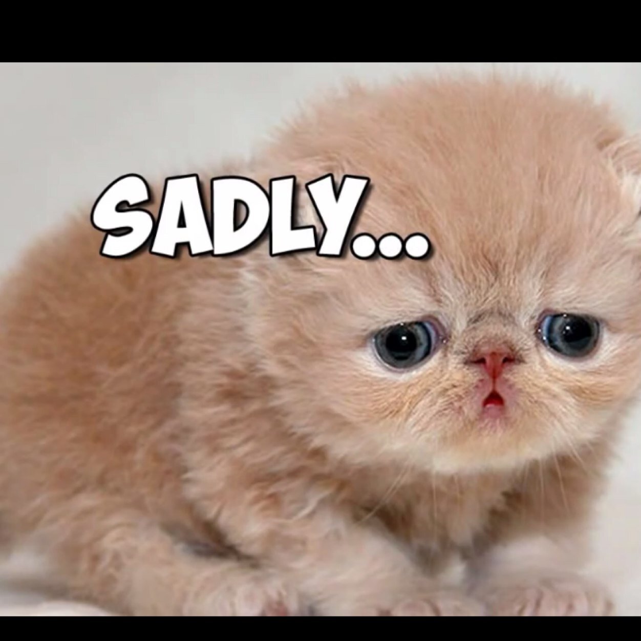 GordonLao's profile picture. Love minecraft,love skydoesminecraft and his friends.Also love percy jackson,kane chronicles,and Harry Potter.Roblox da best my user is Kiro5125