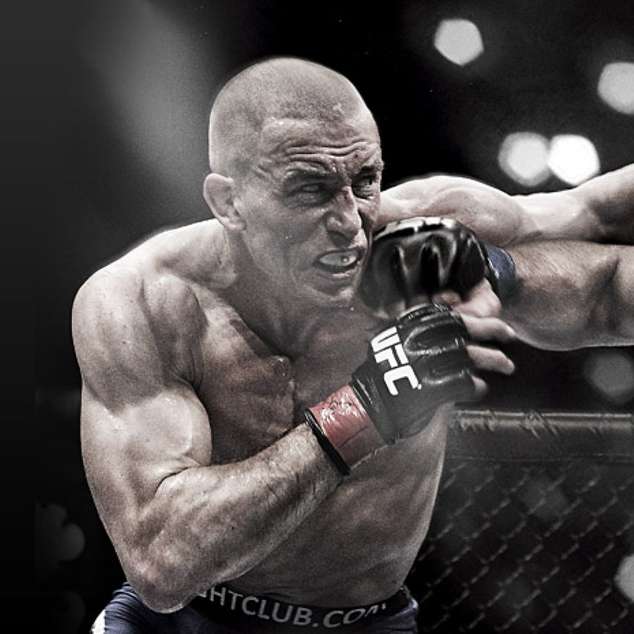 GroveMMA's profile picture. I am a Mixed Martial Arts fan.