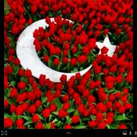 Dr.Urfan#AK (@dr_urfan) 's Twitter Profile Photo Dr.Urfan#AK (@dr_urfan) 's Twitter Profile Photo