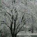 Dillon Lynch-Walsh - @LynchWalsh - Twitter