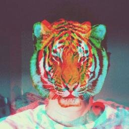 Em um mundo com tantas incertezas, é melhor duvidar de tudo. A falsidade e a mentirar boia ,Tenho 17 anos, SOLTEIRO.