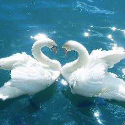 likecan's profile picture. Inside myself is a place where I live all alone and that is where I renew my springs that never dry up.