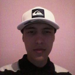fanatico pelo timao lol