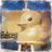 chimakey's profile image