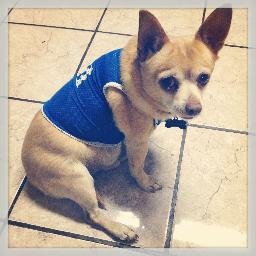 MrJujuBlack's profile picture. 