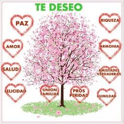 assp1955's profile picture. 