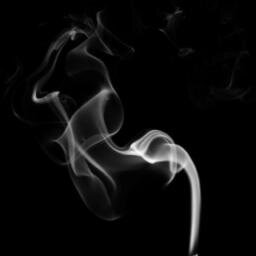 TormentedShadow's profile picture. The Night is Dark and Full of Terrors.