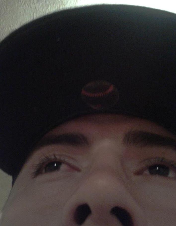 Pal perro