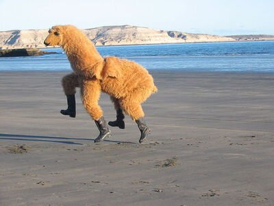 BigBigGoodGood's profile picture. I want it.