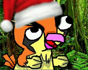 Soy un pokemom volador, vuelo por todo kalos xD cada 5 followers subo de nivel,entreviatas,sorteos.