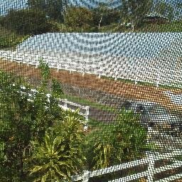The Carpenter Family Farm. Organic Produce grown on the Big Island of Hawaii.