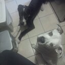 Gabriel Leach - @gl_leach - Twitter