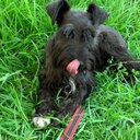 Sandra Tejeda - @sanotepa - Twitter