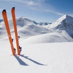 FergusdePapp's profile picture. 