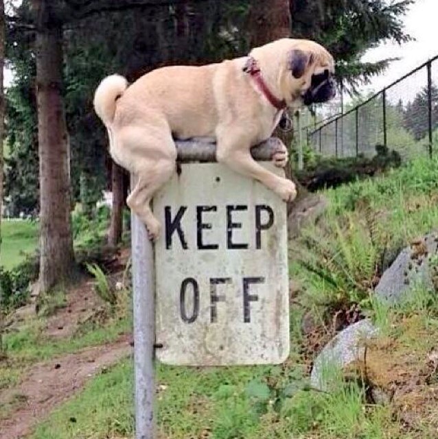 ydyd777's profile picture. Jazzが大好きです。#相互フォロー　#follow