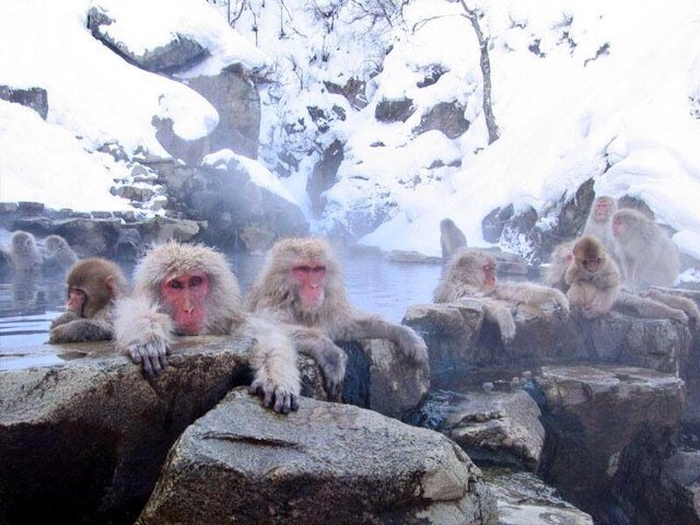 yeye78787's profile picture. 英語が大好きです。#相互フォロー #follow