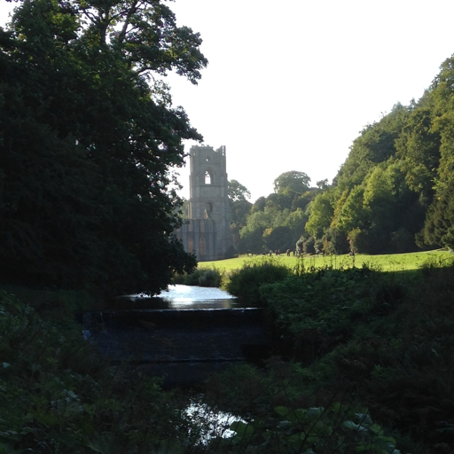 whitenoise14's profile picture. 