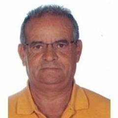 Profesor jubilado. Los últimos quince años de docencia los dediqué a introducir el ajedrez en las escuelas con un proyecto titulado EL AJEDREZ EN LA ESCUELA