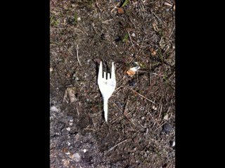 DagfinnFossen's profile picture. 