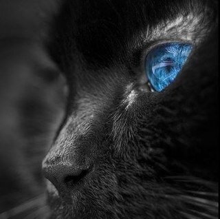 Aragon_8831's profile picture. 