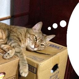 ねこ, Purple Team, One-operation CSIRT, DFIR, Former Red Team Lead, OS(CE3|DA|CP|WP), G(DAT|CPN|CED), 食品衛生責任者, ずんだもんハッカー, お仕事は会社としてでも個人としてでも