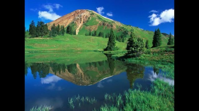 saaa112231's profile picture. 