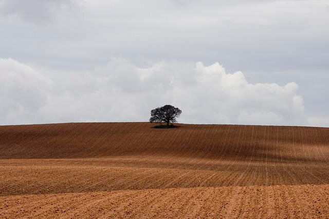 RepubConstituc's profile picture. Libertad Política Colectiva 🏛