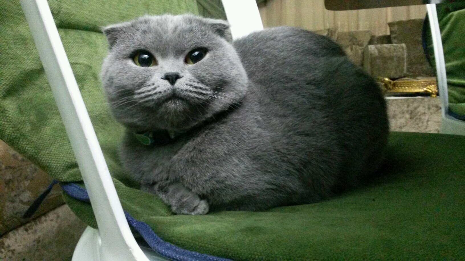 skywings90's profile picture. yaaaaaaaay └(^o^)┘