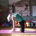 Yoga East Yorkshire (@yogaeastyorks) Twitter profile photo