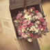 موسوعة أجمل الأناشيد (@ajml_alanashed) Twitter profile photo موسوعة أجمل الأناشيد (@ajml_alanashed) Twitter profile photo