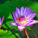 Isabel Casanova - @icasanova2009 - Twitter