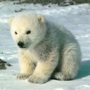 Jean Darius - @JeanDariuss - Twitter