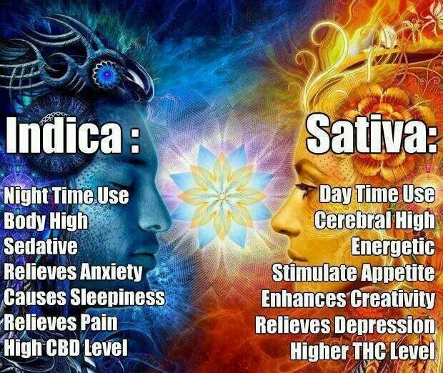 Drugs, sex, and violence. this is america.