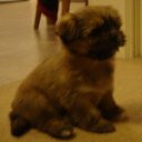 Pippa Brown - @CutiePip - Twitter