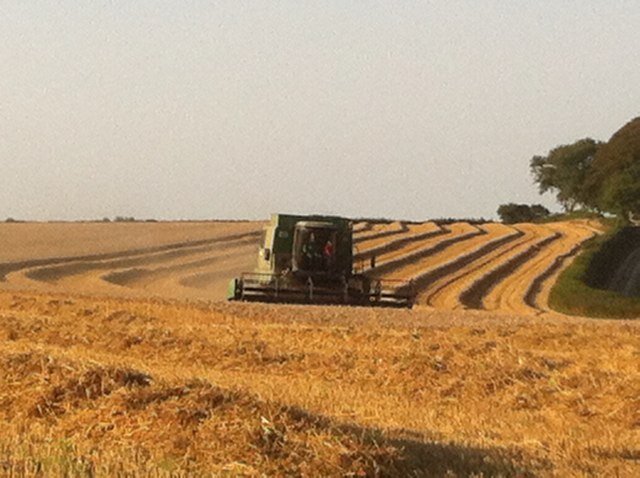 paulaharding72's profile picture. Freelance Book-keeper and Project manager. Occasional events co-ordinator. Farmers wife, mum of two and general all round 'girl friday’.