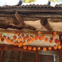 haseulla's profile picture. 