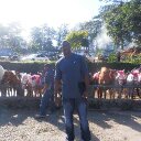 Tim Blackwell - @tim_s_blackwell - Twitter