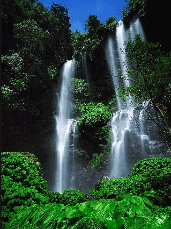 lovinatravels's profile picture. we can arranges day trips all around Bali, and also we are available for car/motorbike rent.visit us on my web