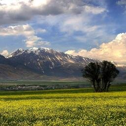 AHMETATIC1's profile picture. 