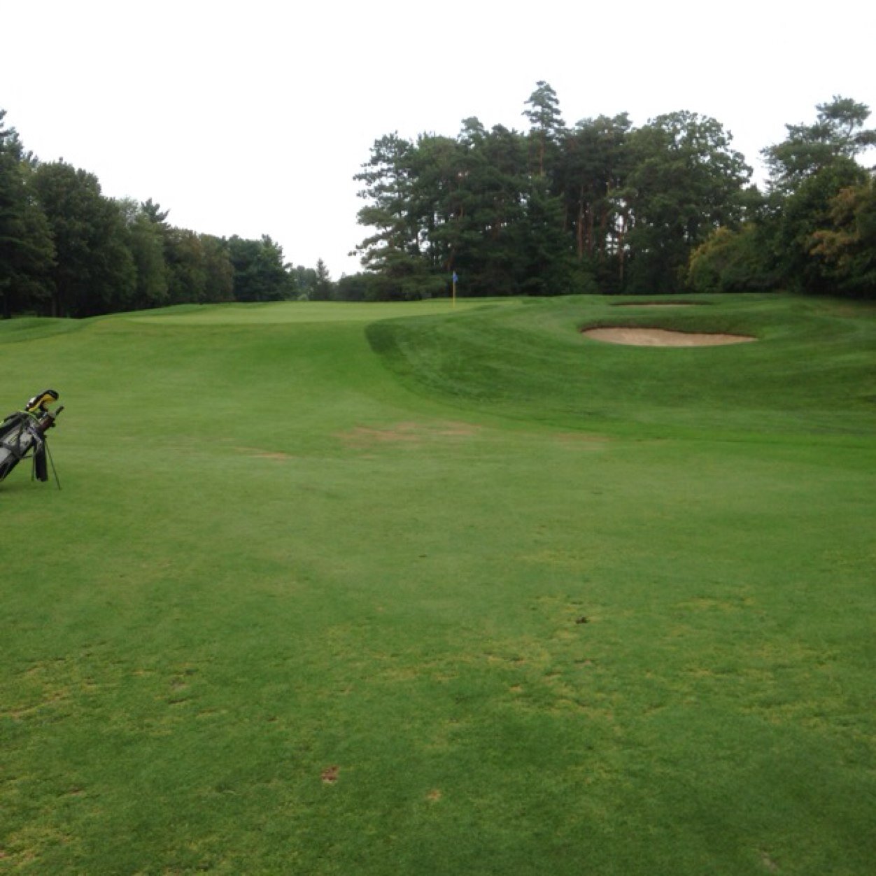 mdross5's profile picture. Basketball and Hockey dad...lucky husband...Golf addict