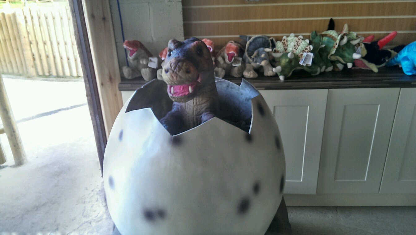 MikeThorpe49's profile picture. 